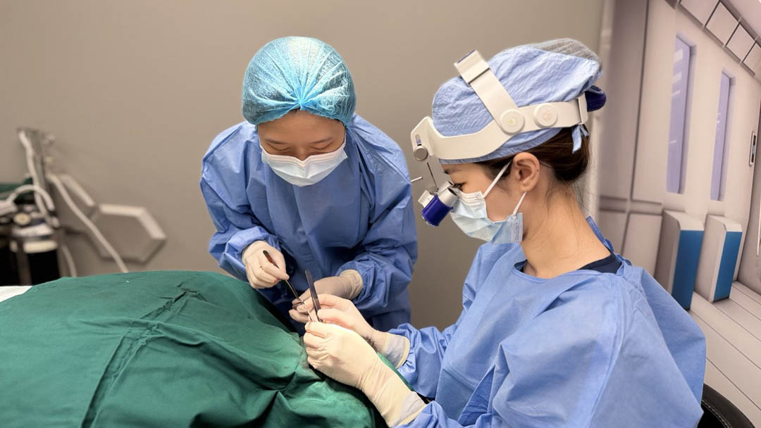 Physician consultation